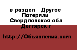  в раздел : Другое » Потеряли . Свердловская обл.,Дегтярск г.